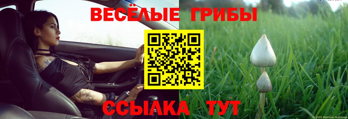 Псилоцибиновые грибы Psilocybine cubensis Краснодар