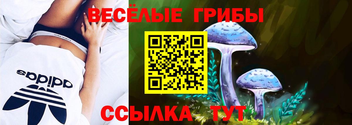 как найти   Псилоцибиновые грибы MAGIC MUSHROOMS  Вход с VPN  Краснодар  Псилоцибиновые грибы Psilocybine cubensis 